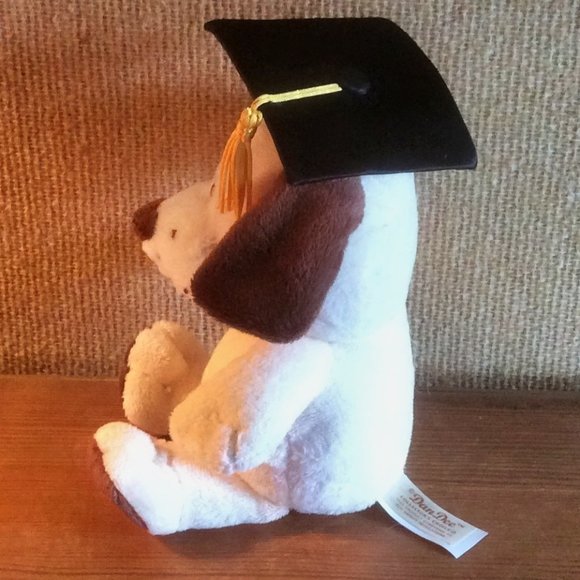 Graduation Dog Puppy Stuffed Animal Plush Dan Dee Collector's Choice Not A Toy - Picture 4 of 5